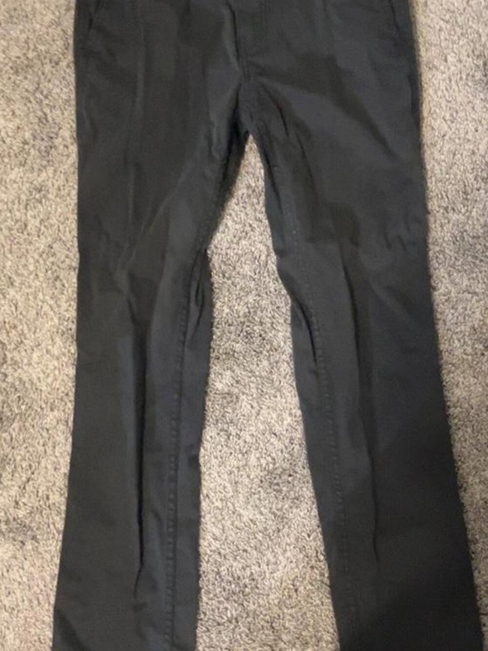 Dress pants